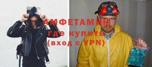 шишки Аркадак