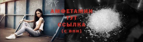 шишки Аркадак