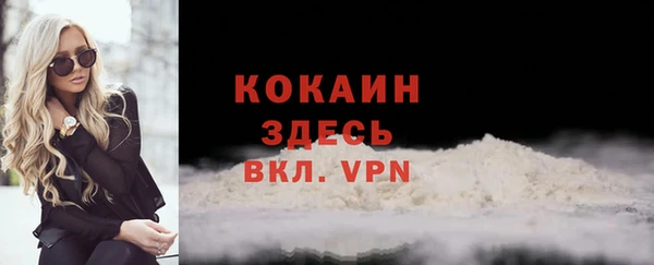 шишки Аркадак