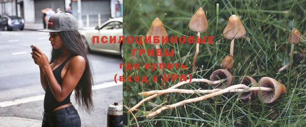 mix Арсеньев
