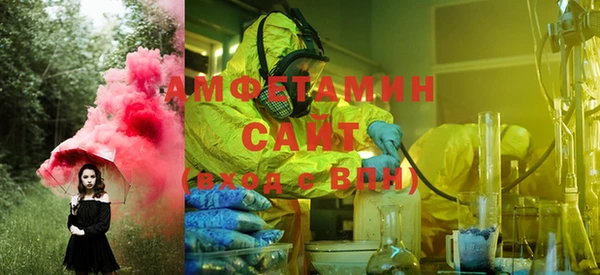 шишки Аркадак