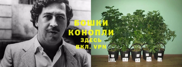 шишки Аркадак