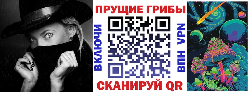 kraken   Соликамск  Галлюциногенные грибы прущие грибы 